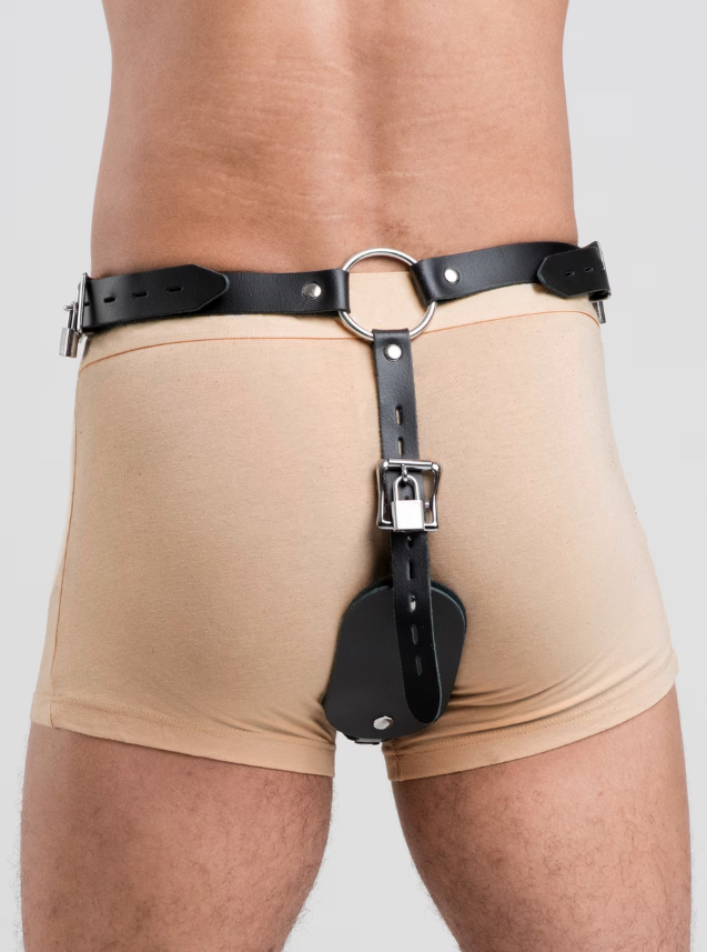 DOMINIX Deluxe leather anal plug harness and cock ring with locks